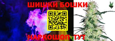 гашик Лесосибирск