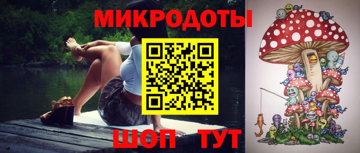 Златоуст  Псилоцибиновые грибы Cubensis  Вход с VPN 